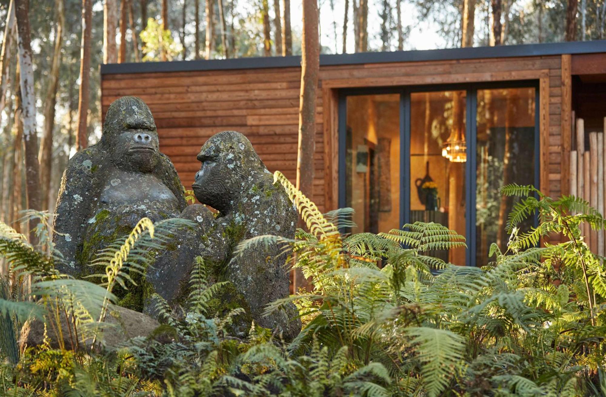 Hotel One&Only Gorilla'S Nest Kinigi Zewnętrze zdjęcie