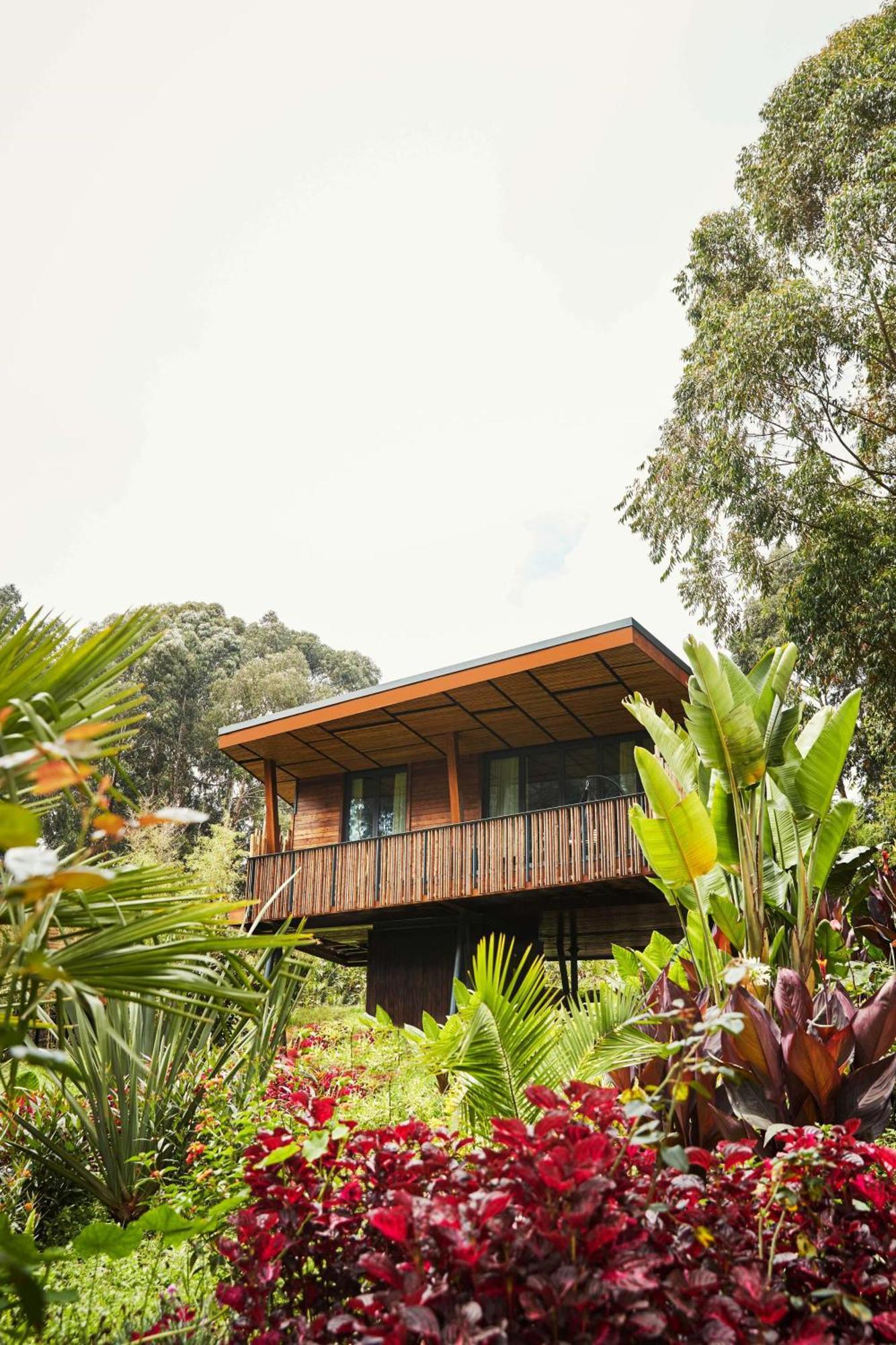 Hotel One&Only Gorilla'S Nest Kinigi Zewnętrze zdjęcie