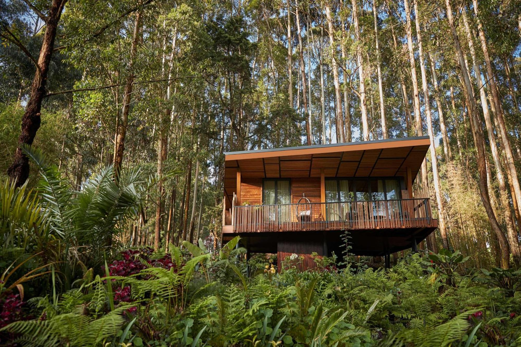 Hotel One&Only Gorilla'S Nest Kinigi Zewnętrze zdjęcie