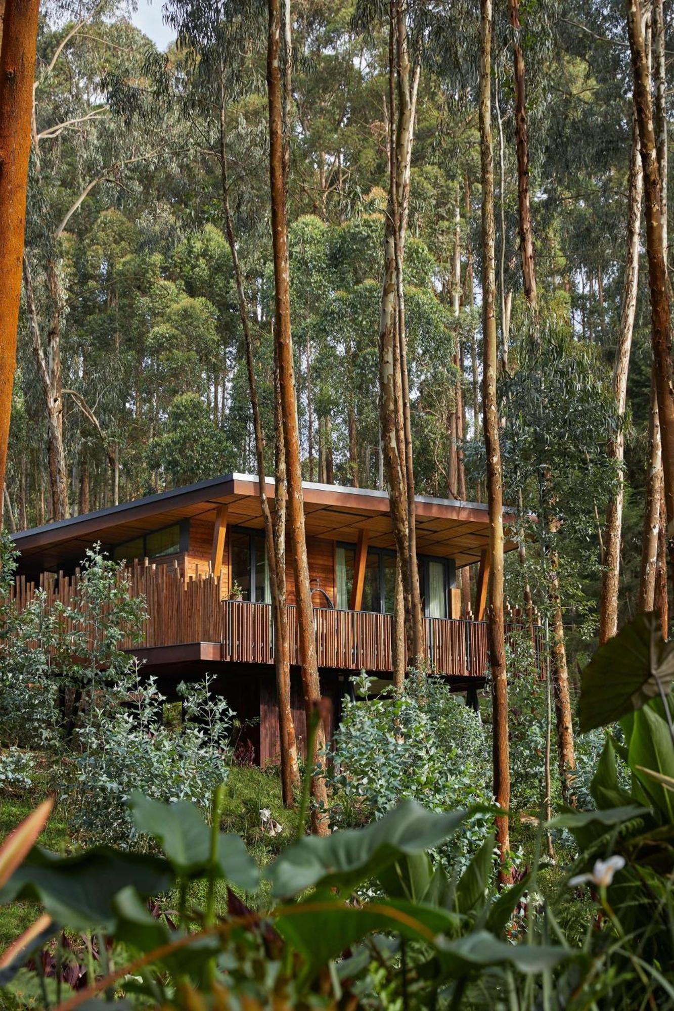 Hotel One&Only Gorilla'S Nest Kinigi Zewnętrze zdjęcie
