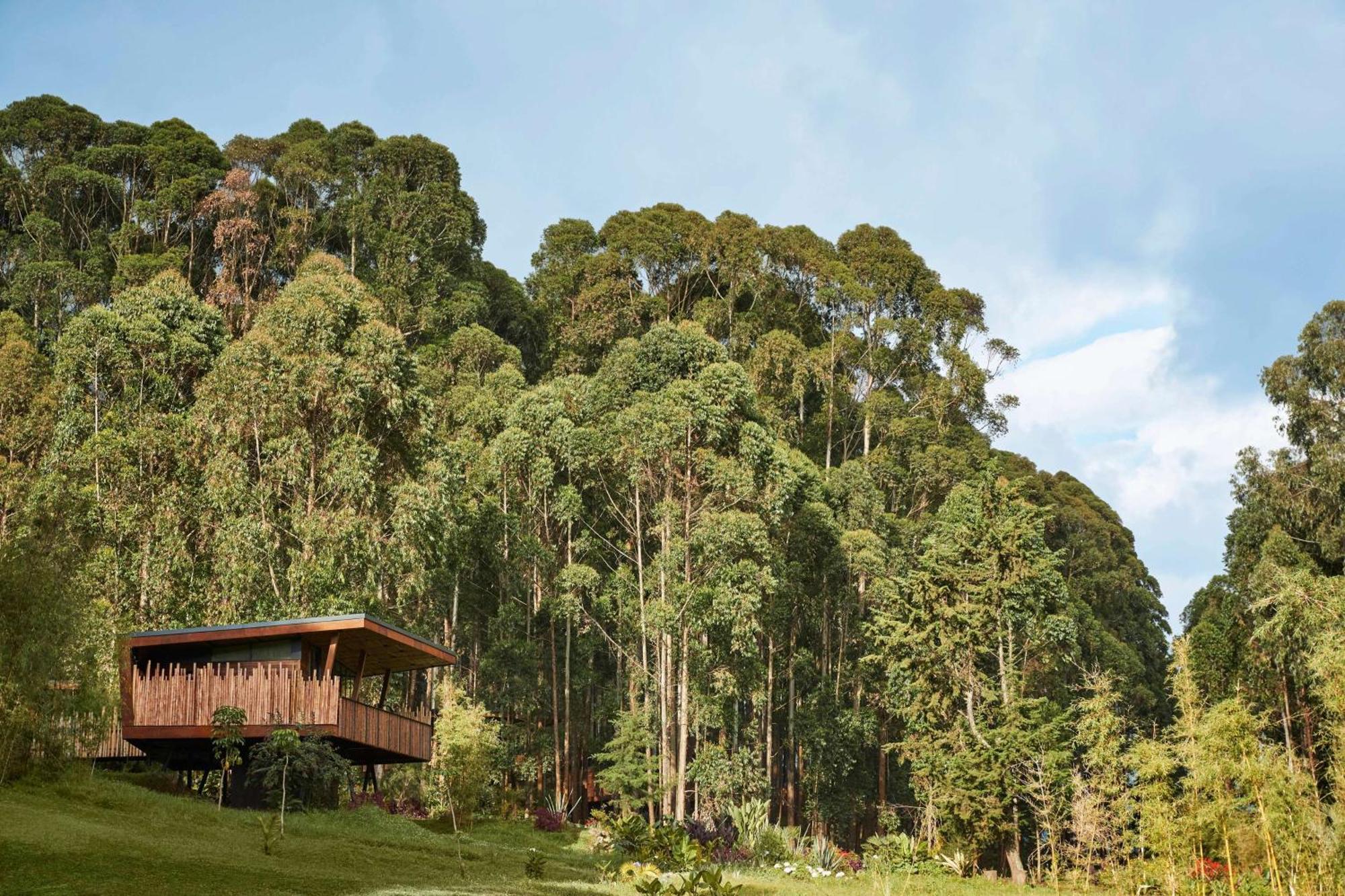 Hotel One&Only Gorilla'S Nest Kinigi Zewnętrze zdjęcie