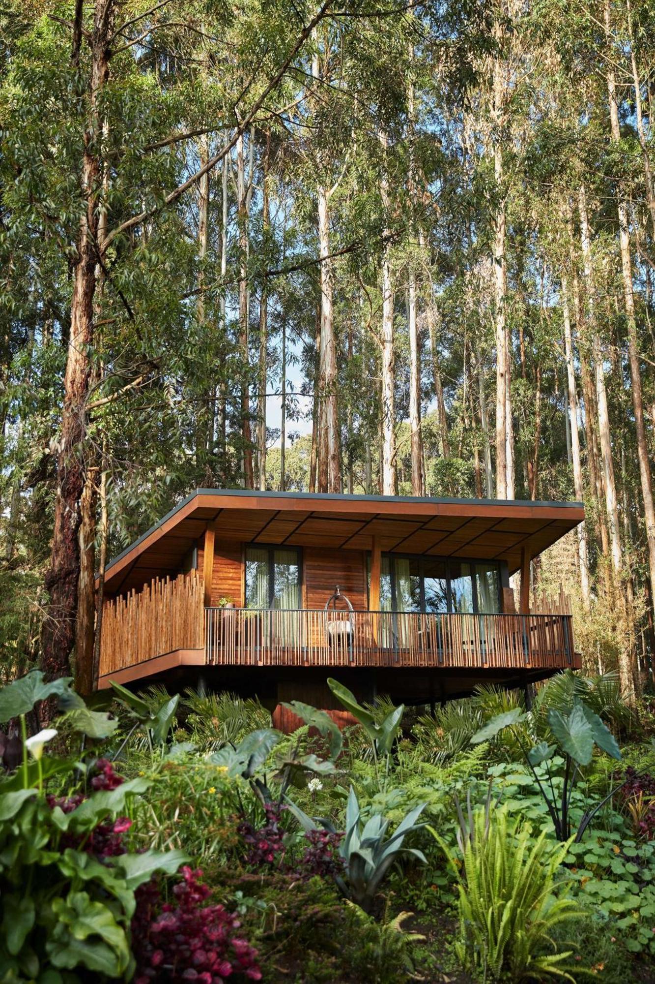 Hotel One&Only Gorilla'S Nest Kinigi Zewnętrze zdjęcie